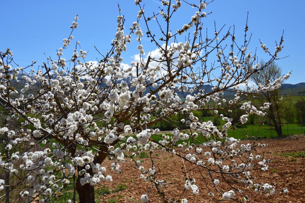Cortijo Petra Panzió Villanueva del Rosario Kültér fotó